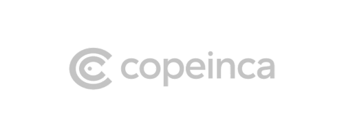 COPEINCA