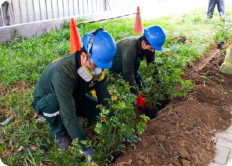 Jardinería